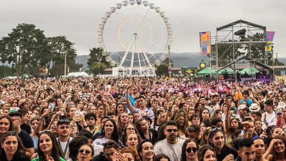 Promotor de festivales trabajando con segmentos de audiencia en un ordenador portátil